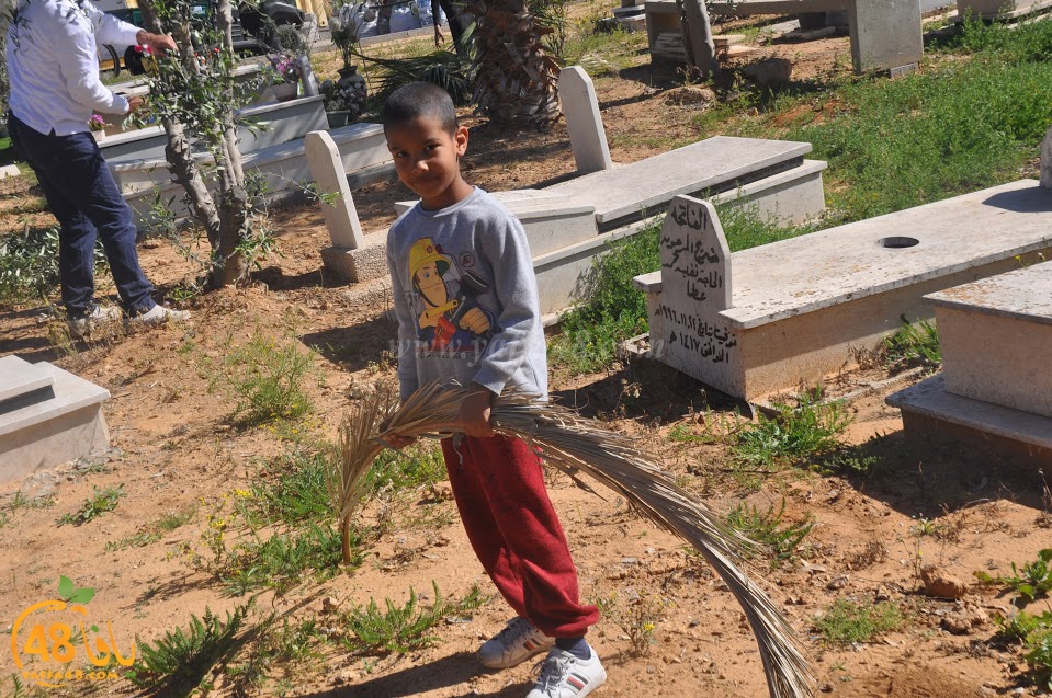 tasohamlalanjna (38).jpg